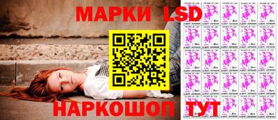 прущие грибы Будённовск