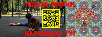 прущие грибы Будённовск
