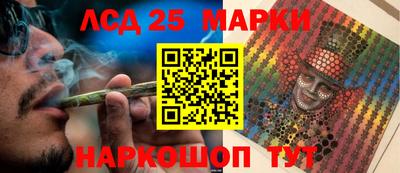 прущие грибы Будённовск