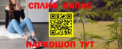 прущие грибы Будённовск