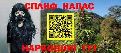 прущие грибы Будённовск