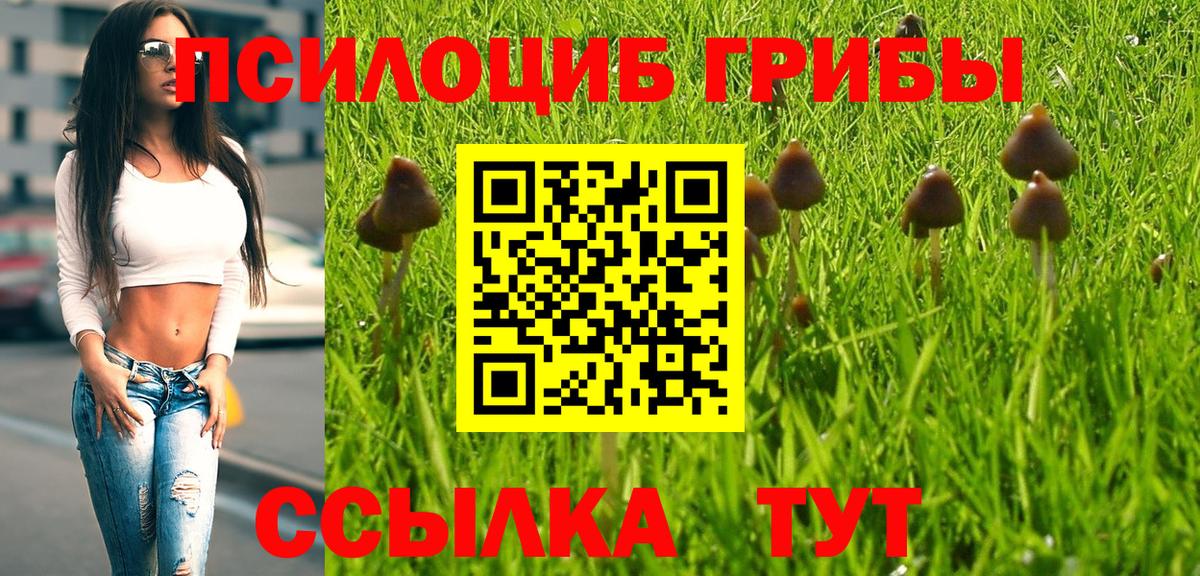 Псилоцибиновые грибы ЛСД  Вход с VPN  Псилоцибиновые грибы мухоморы  Тельмана 